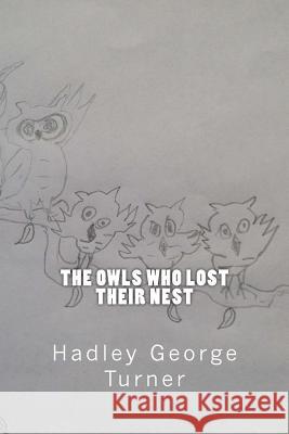 The Owls Who Lost Their Nest Hadley George Turner 9780992988142 Sasmjadahoha Publishing