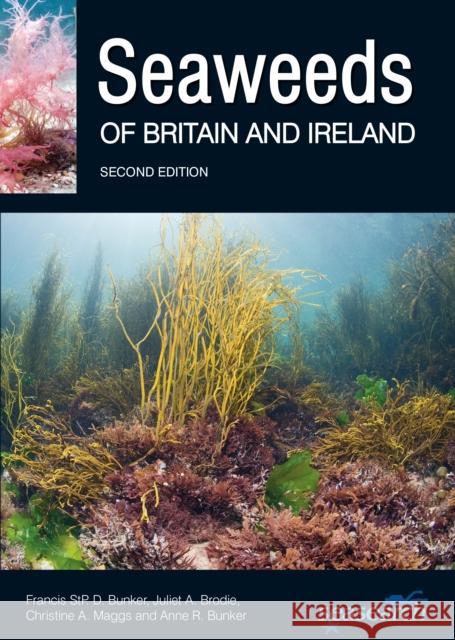 Seaweeds of Britain and Ireland Anne R. Bunker 9780995567337 Wild Nature Press