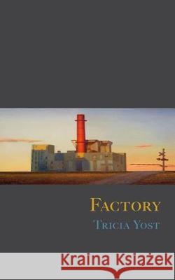 Factory Tricia Yost 9780998414607 Radial Books, LLC