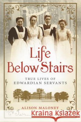 Life Below Stairs Alison Maloney 9781250017659 Thomas Dunne Books