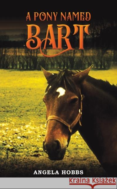 A Pony Named Bart Angela Hobbs 9781398429987 Austin Macauley Publishers