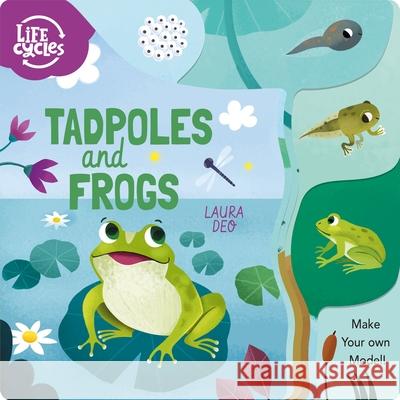 Tadpoles and Frogs: Make Your Own Model! Savery, Annabel 9781398809055 ARC