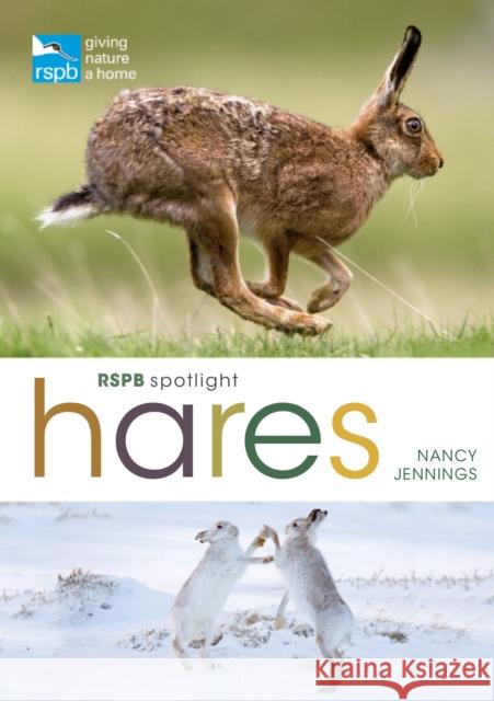 RSPB Spotlight Hares Nancy Jennings 9781399405041 Bloomsbury Publishing PLC