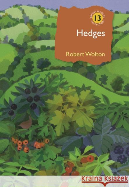 Hedges Robert Wolton 9781399411714 Bloomsbury Publishing PLC