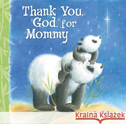 Thank You, God, for Mommy Amy Parker 9781400317073 Thomas Nelson Publishers