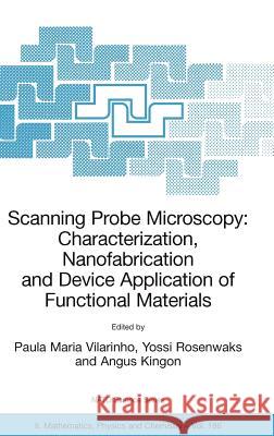Scanning Probe Microscopy: Characterization, Nanofabrication and Device Application of Functional Materials: Proceedings of the NATO Advanced Study In Vilarinho, Paula M. 9781402030178 Kluwer Academic Publishers
