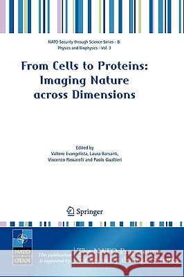 From Cells to Proteins: Imaging Nature Across Dimensions Evangelista, Valtere 9781402036156 Springer London