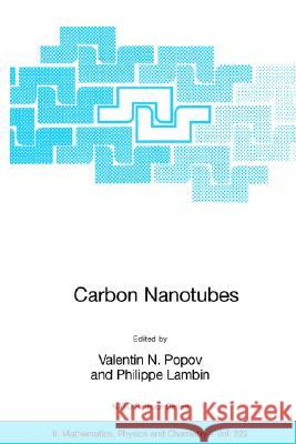 Carbon Nanotubes: From Basic Research to Nanotechnology V. N. Popov Valentin N. Popov Philippe Lambin 9781402045721 Springer