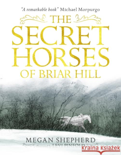 The Secret Horses of Briar Hill Shepherd, Megan 9781406373554 
