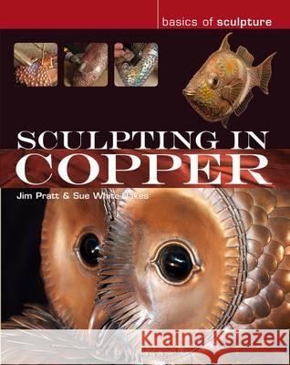 Sculpting in Copper Jim Pratt, Susan White-Oakes 9781408152430 Bloomsbury Publishing PLC