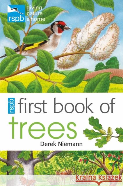 RSPB First Book Of Trees Derek Niemann 9781408165706 Bloomsbury Publishing PLC