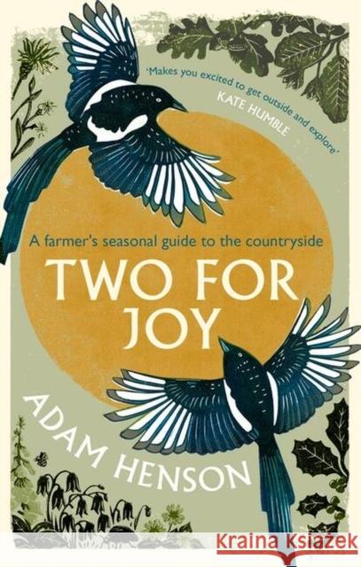 Two for Joy: The untold ways to enjoy the countryside Adam Henson 9781408727386 Little, Brown Book Group