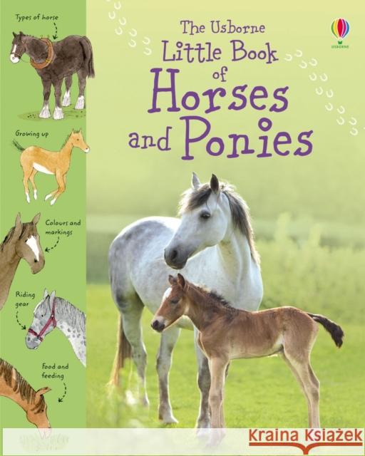 Little Book of Horses and Ponies Sarah Kahn 9781409508694 Usborne Publishing Ltd