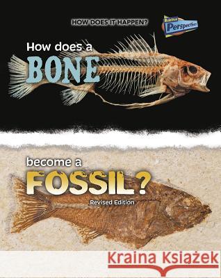 How Does a Bone Become a Fossil? Melissa Stewart 9781410985293 Raintree