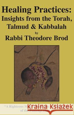 Healing Practices: Insights from the Torah, Talmud and Kabbalah Brod, Rabbi Theodore 9781413474756 Xlibris Corporation