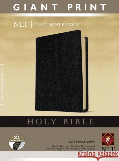 NLT Holy Bible, Giant Print, Black, Indexed Tyndale 9781414337517 Tyndale House Publishers