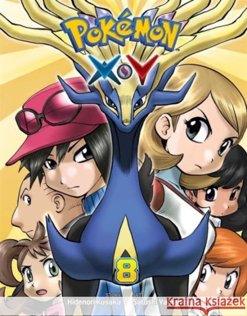 Pokemon X*Y, Vol. 8 Hidenori Kusaka 9781421587790 Viz Media