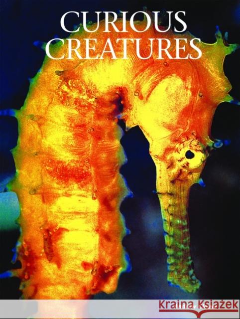 Curious Creatures Andrew Cleave 9781422243053 Mason Crest Publishers