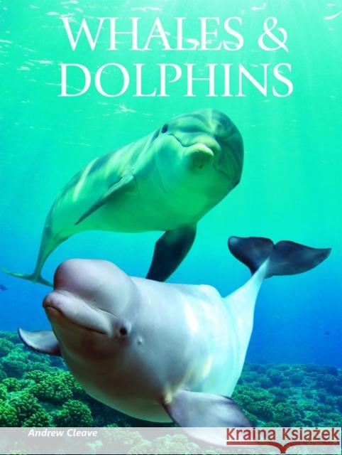 Whales & Dolphins Andrew Cleave 9781422243114 Mason Crest Publishers