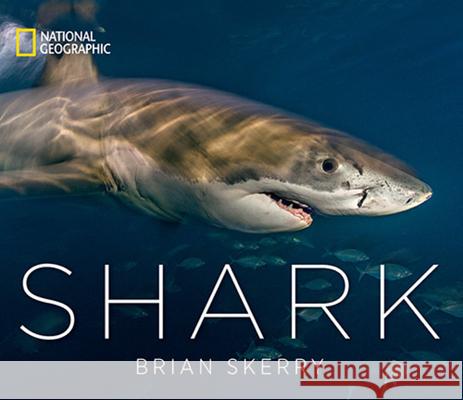 Shark Brian Skerry 9781426219108 National Geographic Society