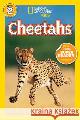 Cheetahs Laura Marsh 9781426308550 National Geographic Society