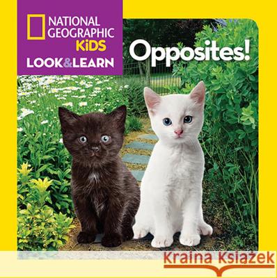 National Geographic Kids Look and Learn: Opposites! National Geographic Kids 9781426310430 National Geographic Society