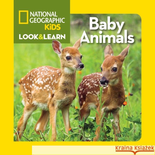 Baby Animals National Geographic Kids 9781426314827 National Geographic Society