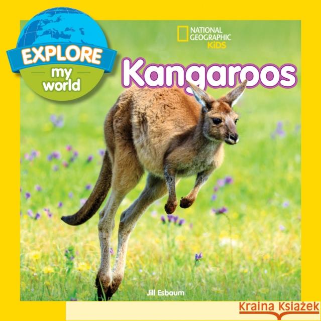Explore My World: Kangaroos Jill Esbaum 9781426331572 National Geographic Society