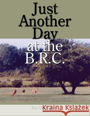Just Another Day at the B.R.C. Ray Delmastro 9781434310989 Authorhouse