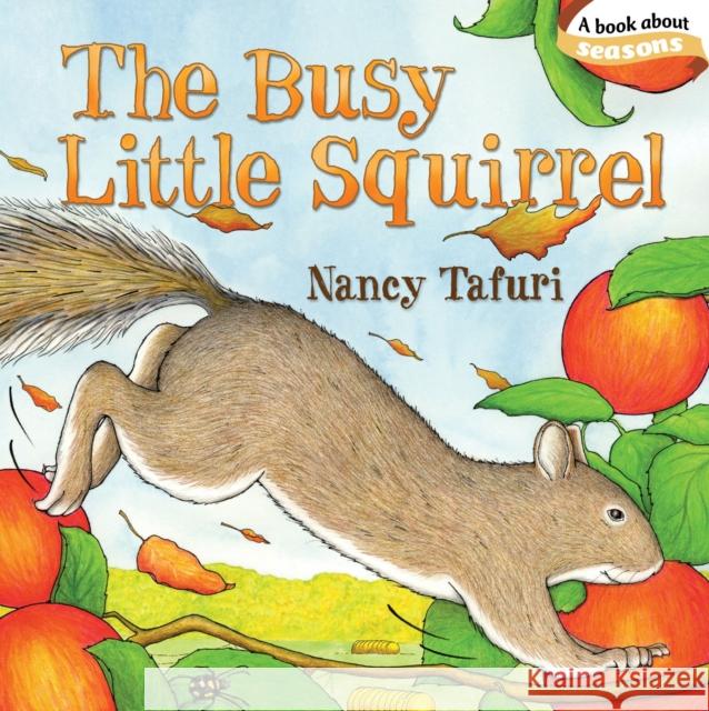 The Busy Little Squirrel Nancy Tafuri Nancy Tafuri 9781442407213 Little Simon
