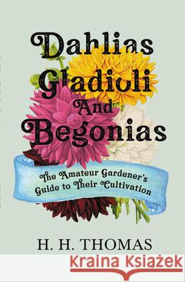 Dahlias, Gladioli and Begonias: The Amateur Gardener's Guide to Their Cultivation Thomas, H. H. 9781446525746 Norman Press