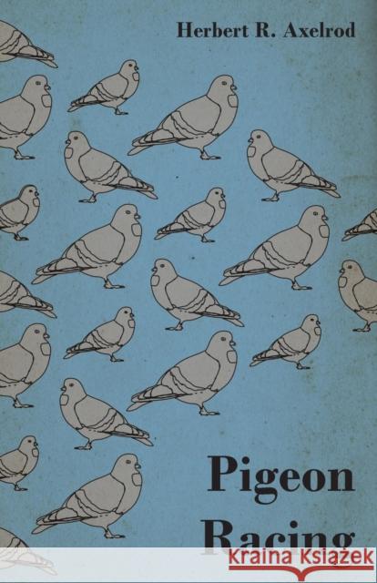 Pigeon Racing Herbert R. Axelrod 9781446543931 Holyoake Press