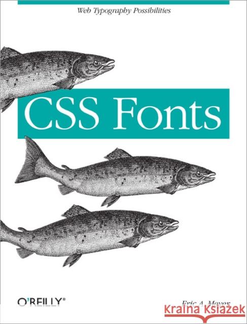 CSS Fonts: Web Typography Possibilities Meyer, Eric 9781449371494 John Wiley & Sons