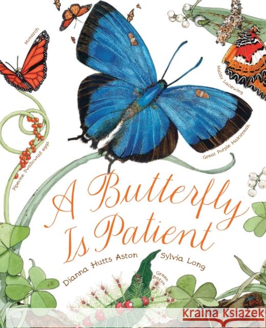 A Butterfly Is Patient Dianna Hutts Aston 9781452141244 Chronicle Books (CA)