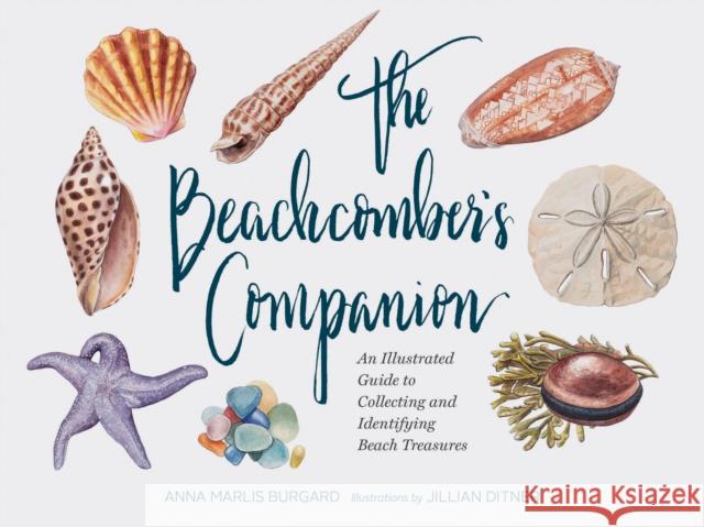 Beachcomber's Companion: An Illustrated Guide to Collecting and Identifying Beach Treasures Jillian Dittner 9781452161167 Chronicle Books