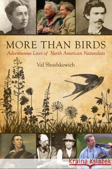 More Than Birds: Adventurous Lives of North American Naturalists Val Shushkewich 9781459705586 Natural Heritage Books