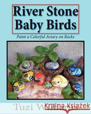 River Stone Baby Birds: Paint a Colorful Aviary on Rocks Tuzi Williams 9781469900230 Createspace