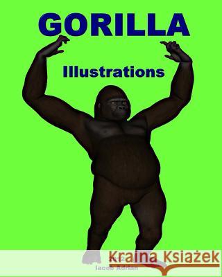 Gorilla Illustrations Iacob Adrian 9781478155751 Createspace
