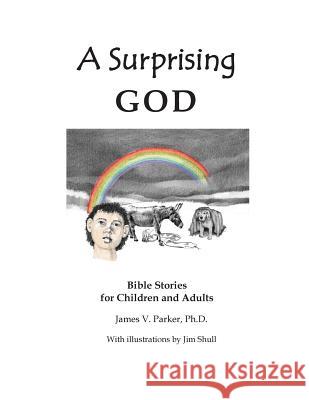 A Surprising God: Bible Stories for Children and Adults James V. Parke Jim Shull 9781479287116 Createspace