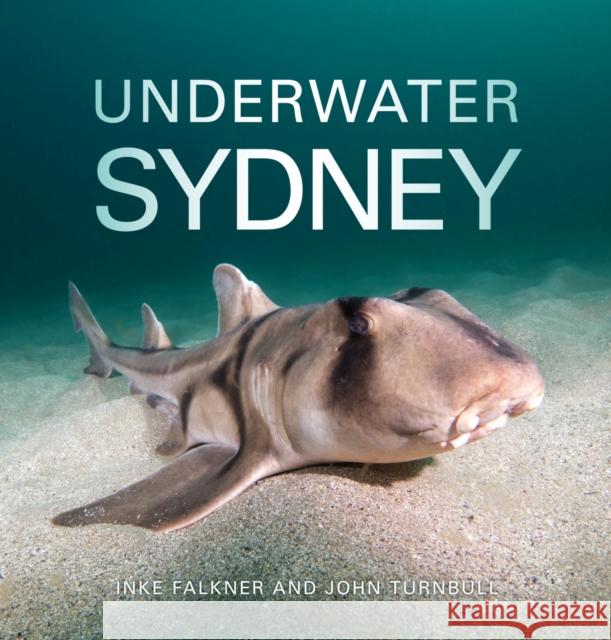 Underwater Sydney Inke Falkner John Turnbull 9781486311187 CSIRO Publishing