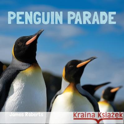 Penguin Parade James Roberts 9781486729135 Flowerpot Press