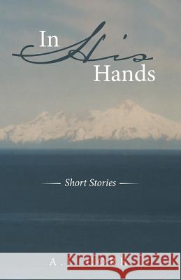 In His Hands: Short Stories A J Cork 9781489708533 Liferich