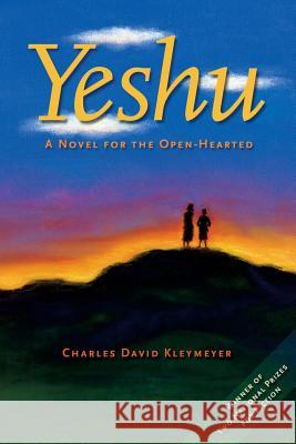 Yeshu: A Novel for the Open-Hearted Charles David Kleymeyer 9781490353005 Createspace