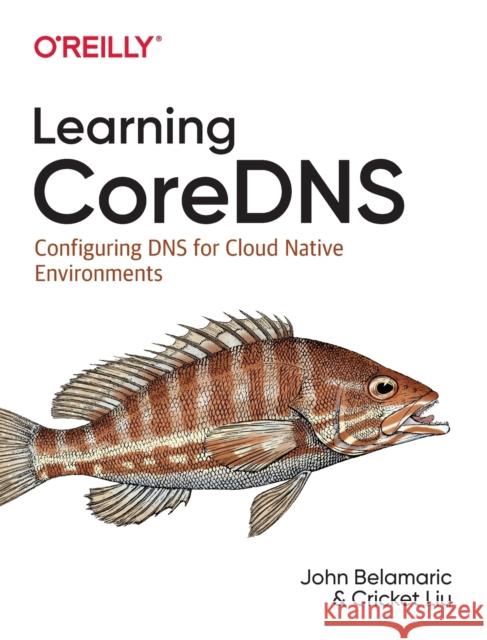 Learning Coredns: Configuring DNS for Cloud Native Environments Belamaric, John 9781492047964 O'Reilly Media