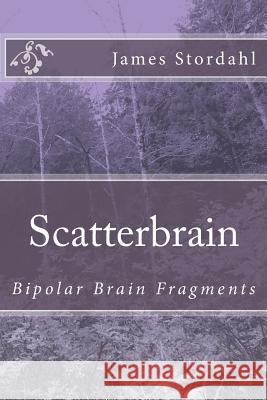 ScatterBrain: Bipolar Brain Fragments Stordahl, James W. 9781492336525 Createspace