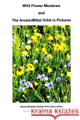 Wild Flower Meadows and the Arcelormittal Orbit in Pictures Llewelyn Pritchar 9781493654598 Createspace