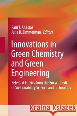 Innovations in Green Chemistry and Green Engineering: Selected Entries from the Encyclopedia of Sustainability Science and Technology Anastas, Paul T. 9781493901388 Springer