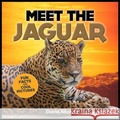 Meet The Jaguar: Fun Facts & Cool Pictures Atkins, David 9781495356476 Createspace