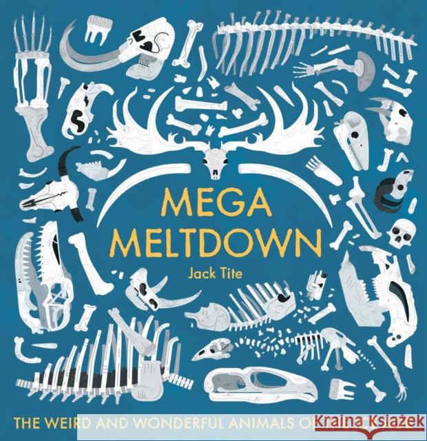 Mega Meltdown: The Weird and Wonderful Animals of the Ice Age Jack Tite 9781499807523 Blueprint Editions