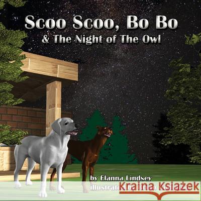 Scoo Scoo, Bo Bo and the Night Owl Elanna Lindsey Brian Compton 9781502382146 Createspace